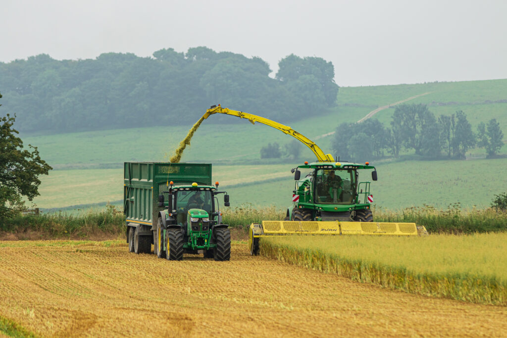 Whole crop harvest