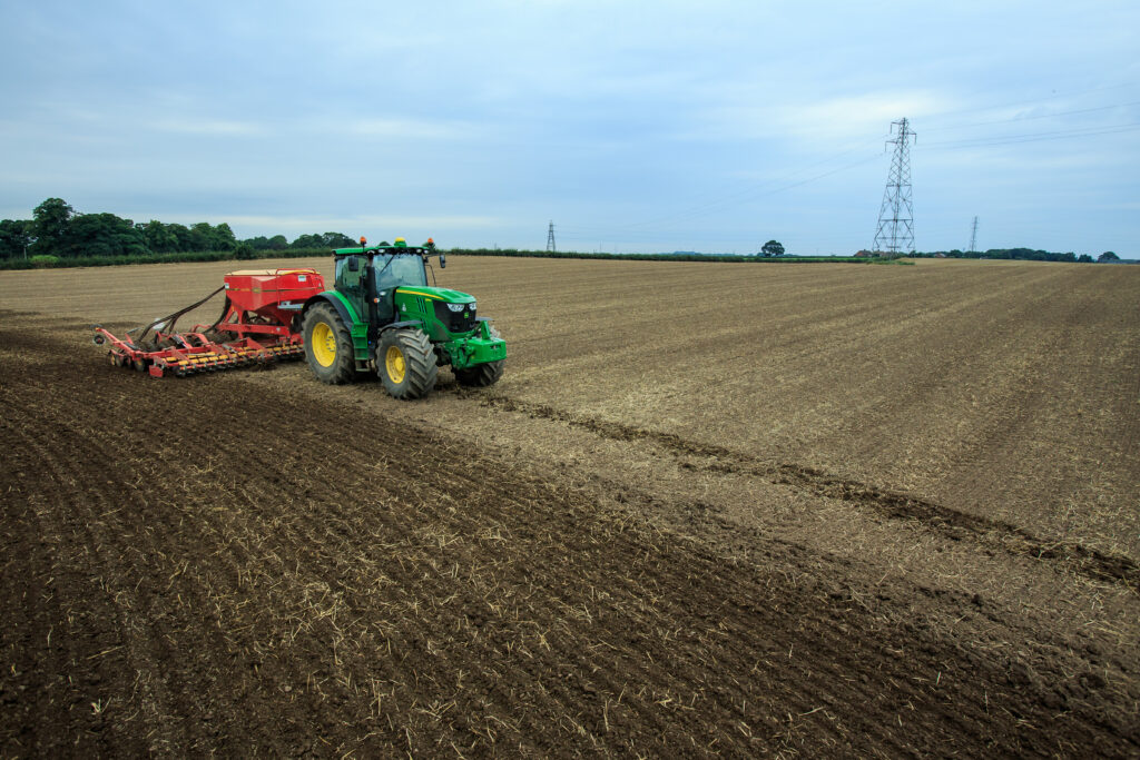 Sowing winter crops