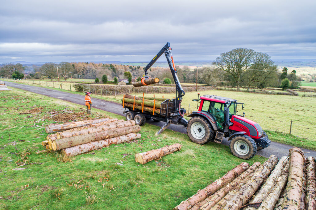 loading logs