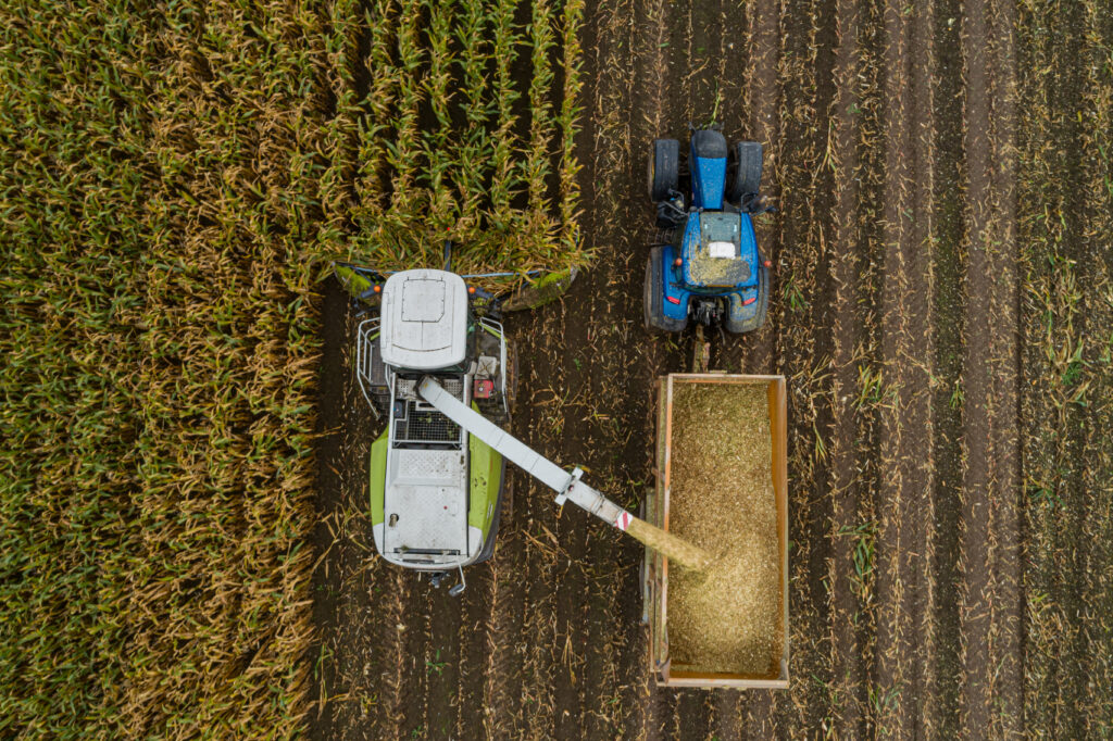 Winter feed harvest on a dairy farm