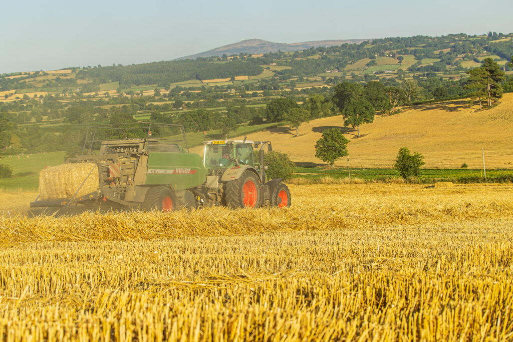 Baling straw