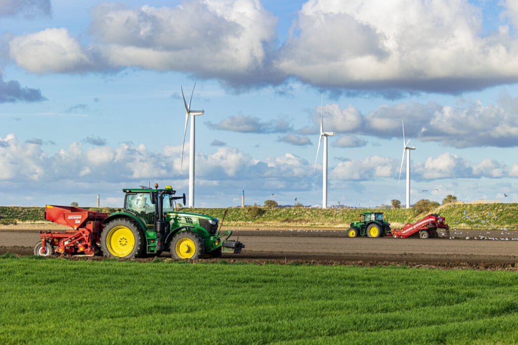 Potato planting