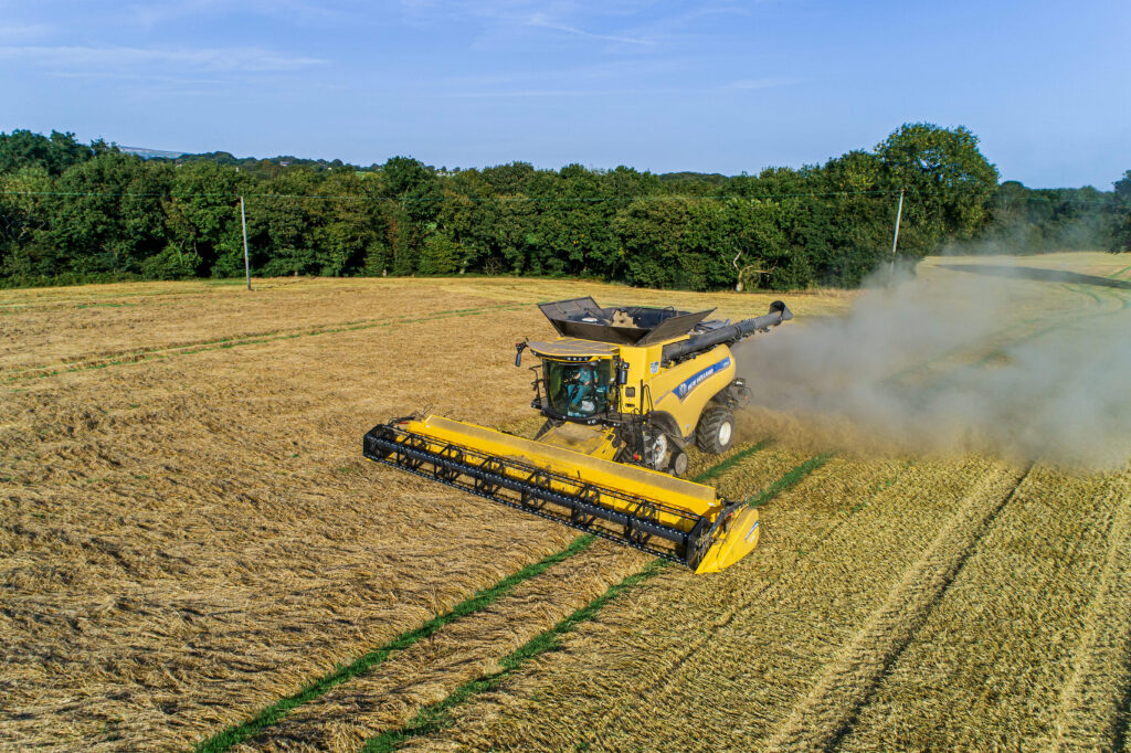 Weather damaged crops