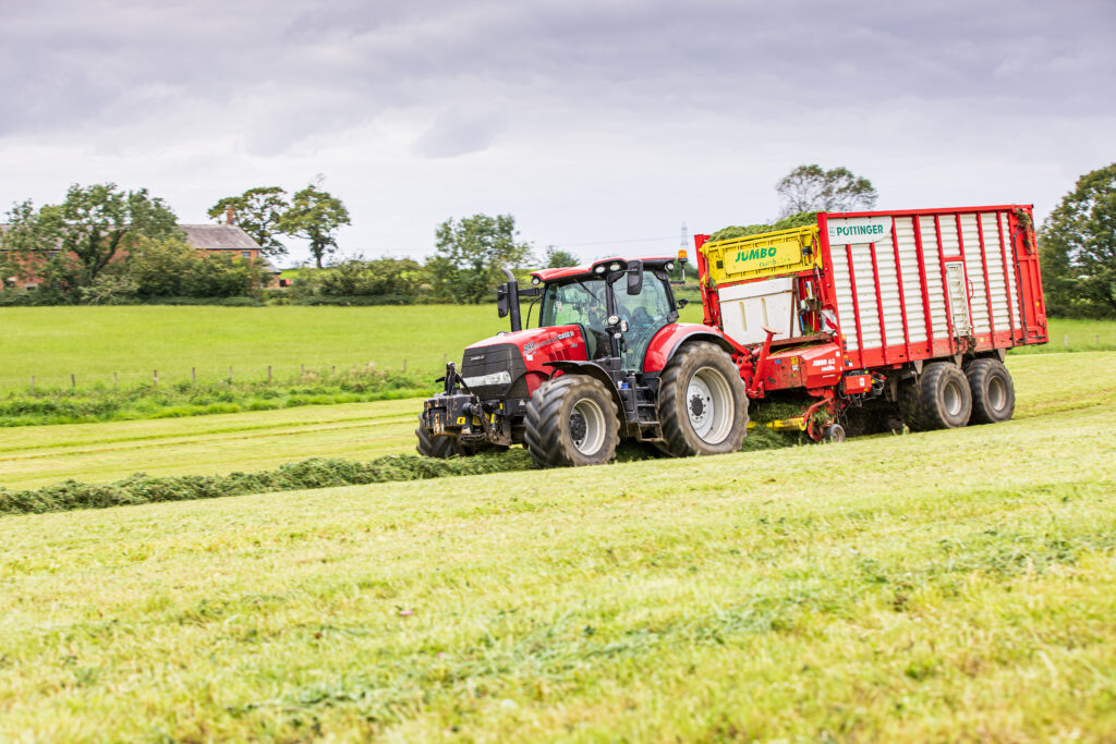 Grass harvest for cattle feed